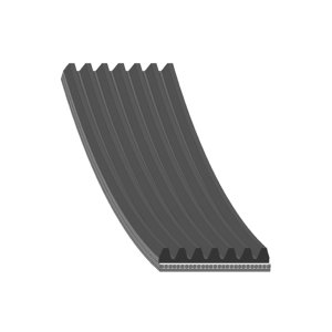 Pasek wielorowkowy BLUE PRINT AD07R2621 ERR6897