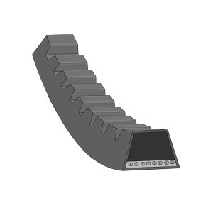 Pasek wielorowkowy BLUE PRINT AD13V950 050418381B