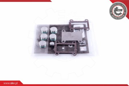 Zestaw naprawczy SKV 49SKV531 ALFA ROMEO 2.4 JTD