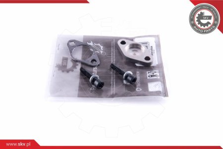 Zestaw naprawczy zaworu EGR SKV 14SKV554 BMW 3 (E46) 5 (E39) 7