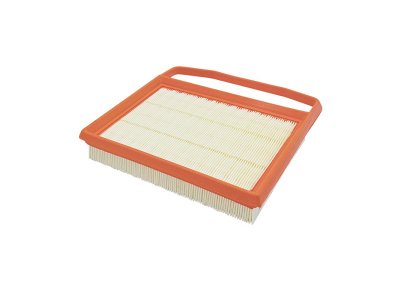 Filtr powietrza FILTRON AP119/1 C21020 DB