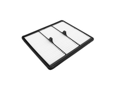 Filtr powietrza FILTRON AP198/3 C35030 HYUNDAI KIA