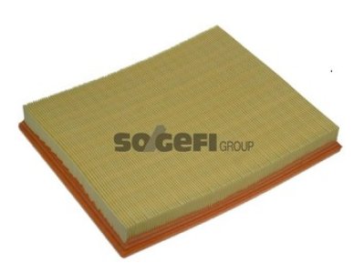 Filtr powietrza PURFLUX A1008 C321541