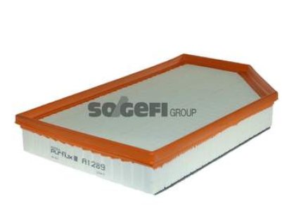 Filtr powietrza PURFLUX A1289 C35177