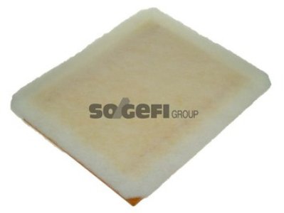 Filtr powietrza PURFLUX A1191 C301302