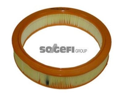 Filtr powietrza PURFLUX A1106 C30825
