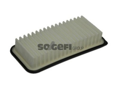 Filtr powietrza PURFLUX A1107 C2517