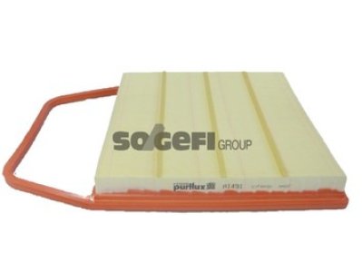 Filtr powietrza PURFLUX A1491 C36004