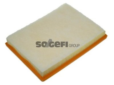 Filtr powietrza PURFLUX A1250 C36172