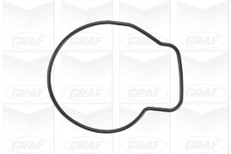 Pompa wody GRAF PA876 19200PLE005