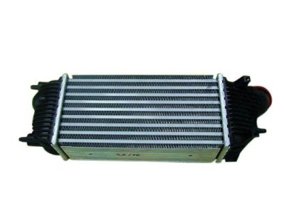 Intercooler NRF 30319 0384N4