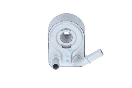 Chłodnica oleju NRF 31069 1472891