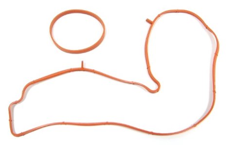 USZCZELKA KOLEKTORA SSAC.