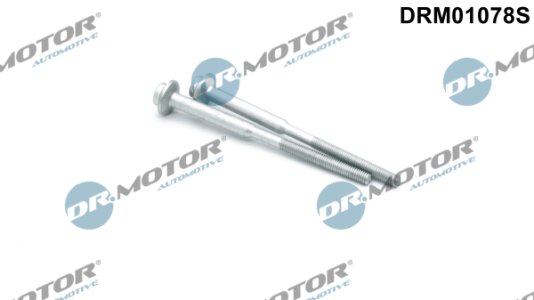 ZESTAW ŚRUB MOCOWANIA WTRYSKIWACZY Dr.Motor Automotive DRM01078S WHT004739 (2SZT) VW, AUDI