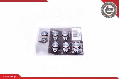 ZESTAW NAPRAWCZY ESEN SKV 49SKV545  BMW X3 X5 X6