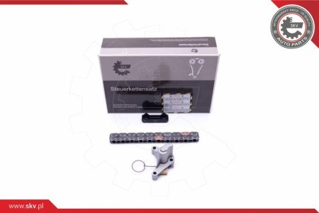 Zestaw łańcucha rozrządu SKV 21SKV240 084923 (3 EL.) CITROEN FIAT FORD