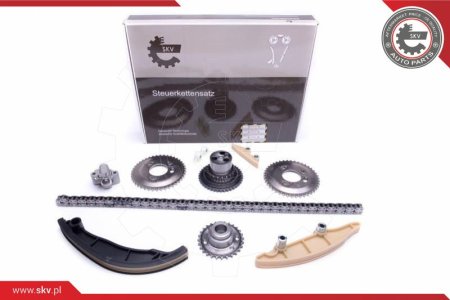Zestaw łańcucha rozrządu SKV 21SKV189 TCK316NG (10 EL.) FORD