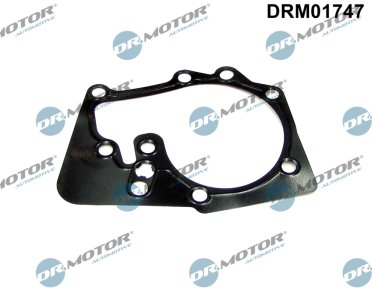 Uszczelka pompy wody Dr.Motor DRM01747 210147770R RENAULT