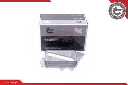 Chłodnica oleju ESEN SKV 31SKV218 6401800565 MERCEDES A-KLASA B-KLASA