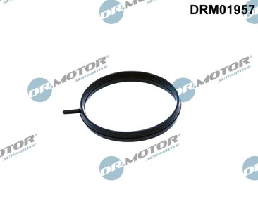 USZCZELKA PRZEPUSTNICY NISSAN Dr.Motor DRM01957 161751HC5A 