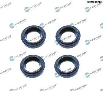 Zestaw uszczelek gniazda świecy zapłonowej Dr.Motor DRM01970S 12342P2A005 HONDA