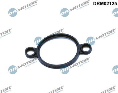 Uszczelka elementu ustalającego skok zaworów Dr.Motor DRM02125 11377501015 BMW