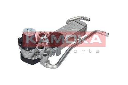 ZAWOR EGR KAMOKA 19072  SEAT IBIZA IV 10-, SKODA FABIA 10