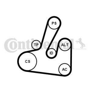 ZESTAW PASKA KLINOWEGO WIELOROWKOWEGO CONTINENTAL CTAM 6PK1705K2 529001210 CITROËN