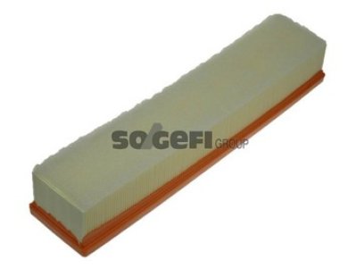 Filtr powietrza PURFLUX A1229 C3875