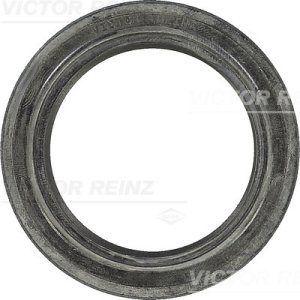 Uszczelniacz 47,6x66,6x11,1 REINZ 81-35896-00 6182957