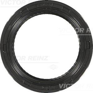 Uszczelniacz 36x49x7 REINZ 81-53252-00 1351001M00