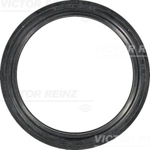 Uszczelniacz 79x99x9,6 REINZ 81-35897-00 6182960