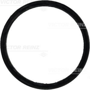 Uszczelka kolektora ssąc REINZ 71-31647-00 6041410160