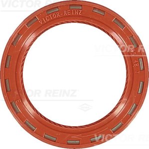 Uszczelniacz 35x48x7 REINZ 81-24909-10 636841