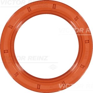 Uszczelniacz 48x66,65x10 REINZ 81-25789-00 9309204