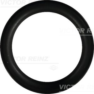 O-ring 45x33,5x6 REINZ 40-76246-00 0348R2