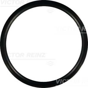 O-ring 47x55x4 REINZ 40-76752-00 34843