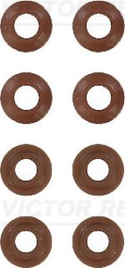 Uszczelniacz zaworowy REINZ 12-25227-03 1020500158