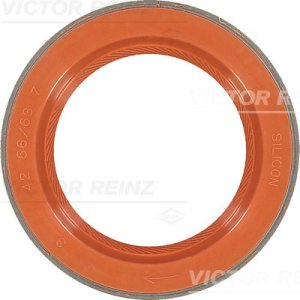 Uszczelniacz 42x63/56x7 REINZ 81-35876-00 40004350