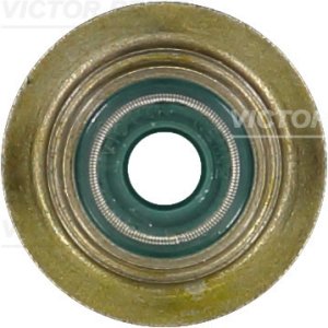 Uszczelniacz zaworowy ssąc REINZ 70-33032-00 1086431