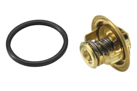 Termostat WAHLER 4008.74D 4655782