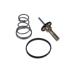 Termostat BLUE PRINT ADK89214 