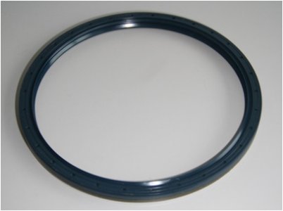 USZCZELNIACZ 160X180X10 CORTECO 01019887B 109973146