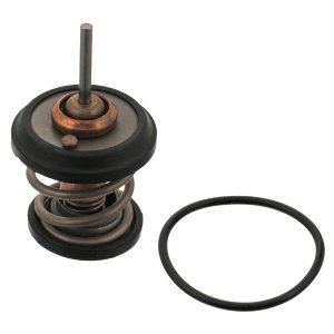 Termostat FEBI BILSTEIN 34782 06H121113B