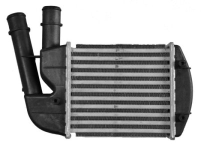 Intercooler NRF 30167A 46823259