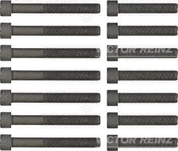 śruba głowicy REINZ 14-32039-02 