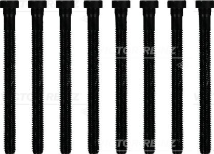 śruba głowicy REINZ 14-32299-02 