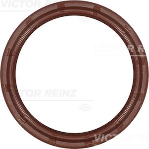 Uszczelniaczx100,1x15 REINZ 81-24077-00 