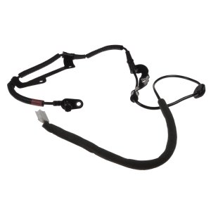 Czujnik BLUE PRINT ADG07141 956812B000