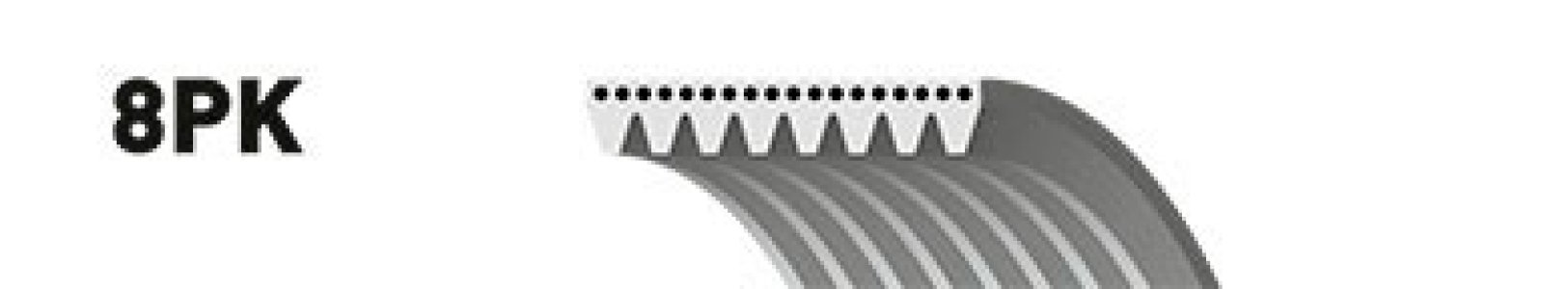 Pasek wielorowkowy GATES 8PK1289ES 1139970192